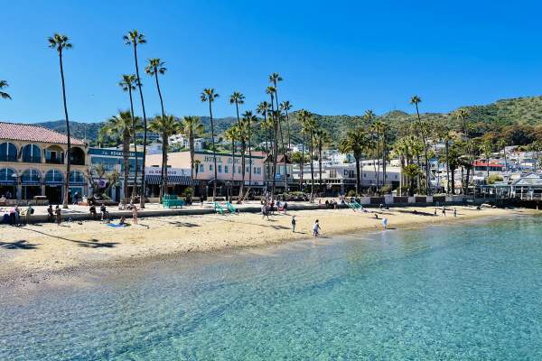 Summertime at Catalina Island: Specials, New Business and More