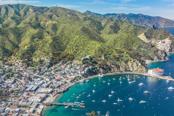 Gold Seal of Transparency