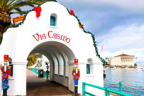 What’s New on Catalina Island – Winter 2021