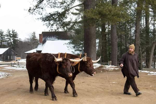 Henry Knox Noble Train of Artillery Arrives in Central Massachusetts