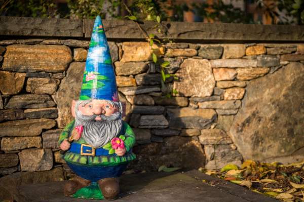 November Events on Our Radar