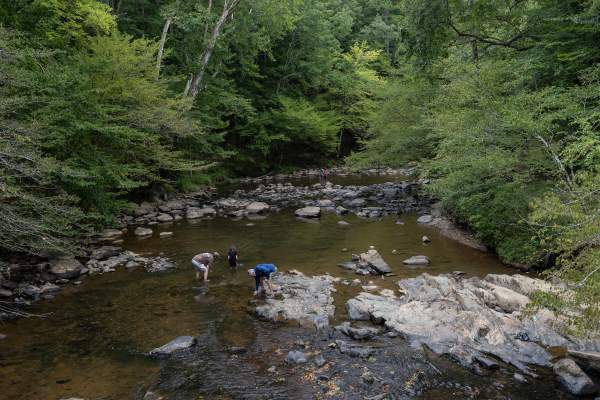 People playing in the Eno River at Eno River State Park.