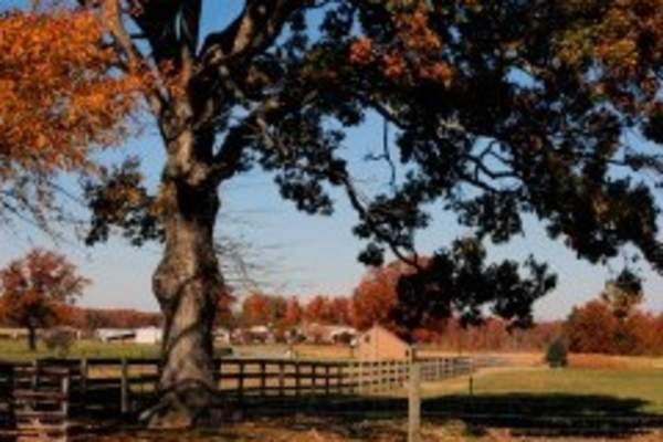 Autum in Orange County