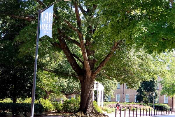 Tar Hill banner on Cameron Street, UNC Chapel Hill