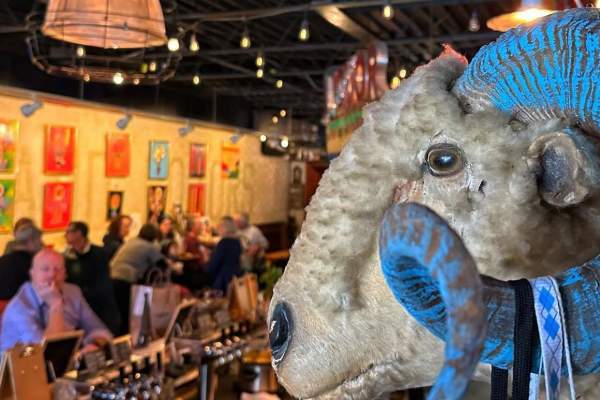 Rams Head inside the bar, lapin Bleu