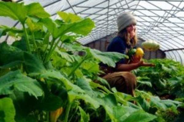 Piedmont Farm Tour