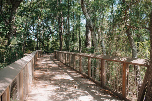 Nature Stewardship Fund