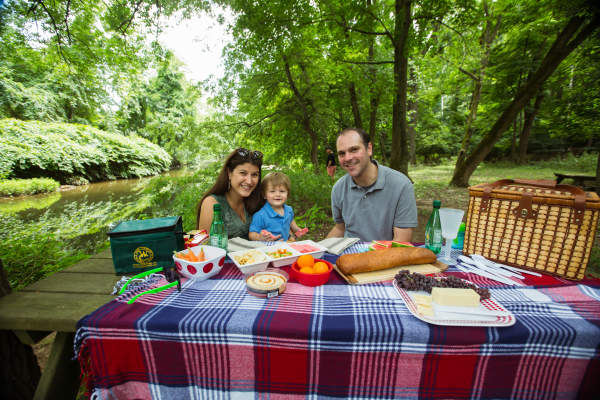 Railroad Picnic Special