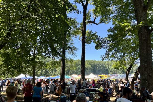 Old Fiddlers Picnic