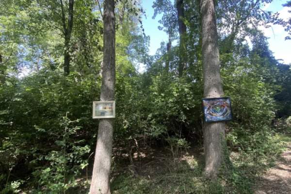 Art in the Woods