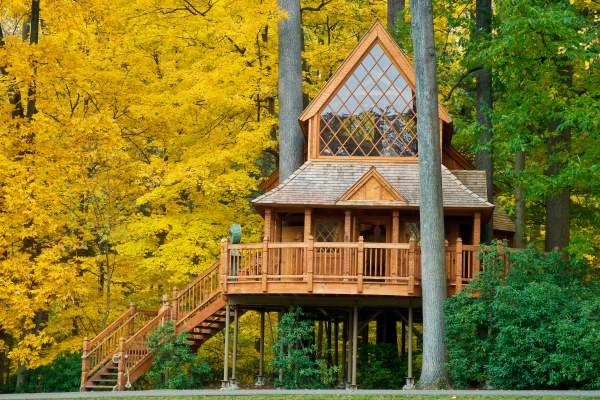 Longwood fall treehouse