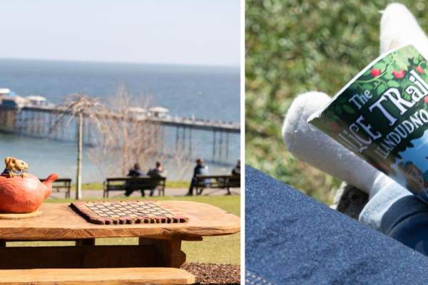 Collage of two images showing pier and visitor looking at Llandudno Alice Trail guide book
