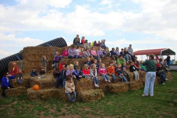 Butcher's Family Fun Farm