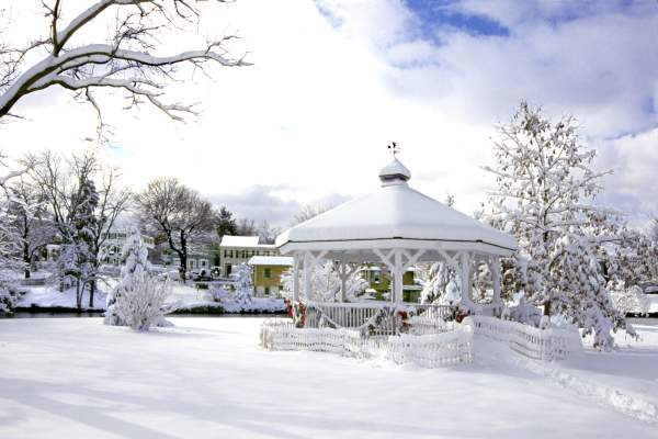 Sow at Children's Lake Gazebo