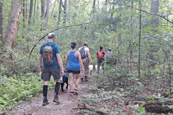 Kings Gap Hiking with Dogs