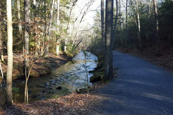 Creek In Mountain Creek Trail In The Cumberland Valley