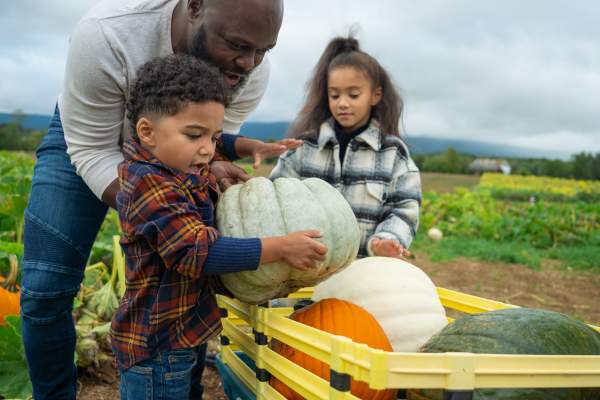 Farm Attractions in Cumberland Valley