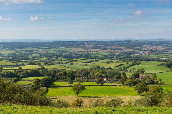 Honiton East Devon