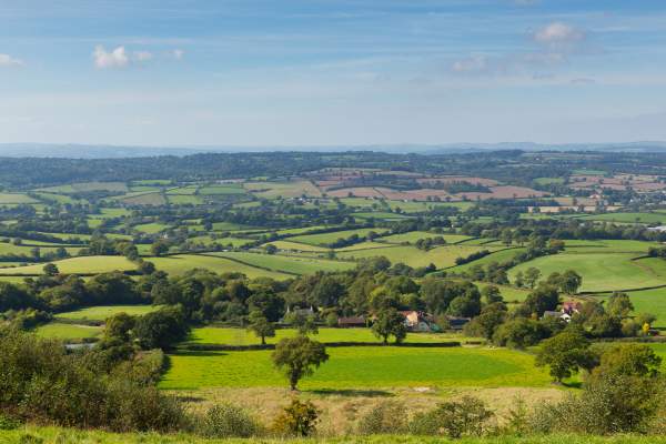 Honiton Free things to do