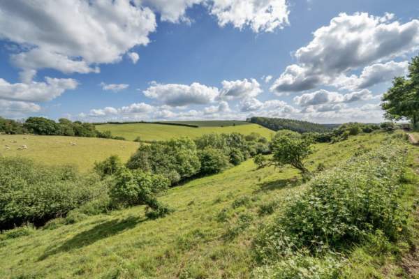 sunny day landscape of Chawleigh