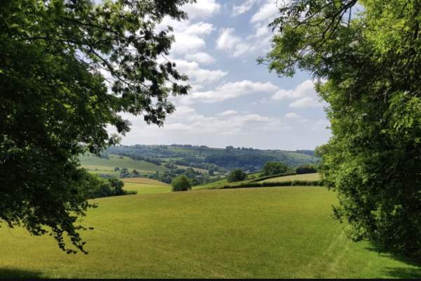 A serene landscape of green rolling hills under a bright blue sky with fluffy clouds. Framed by lush trees, the scene conveys peace and natural beauty.