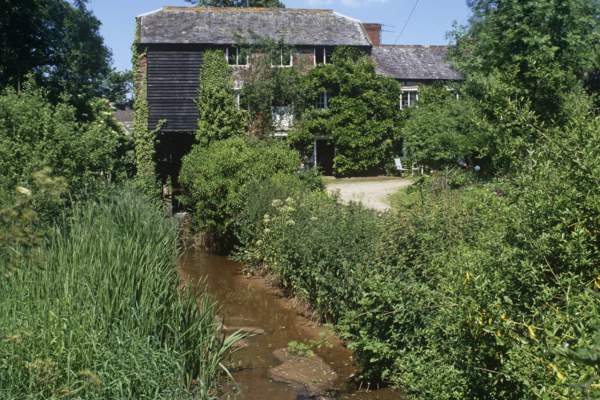 A rustic house, partially covered in ivy, stands beside a narrow, tranquil stream. Lush greenery surrounds the scene, conveying a serene, idyllic atmosphere.