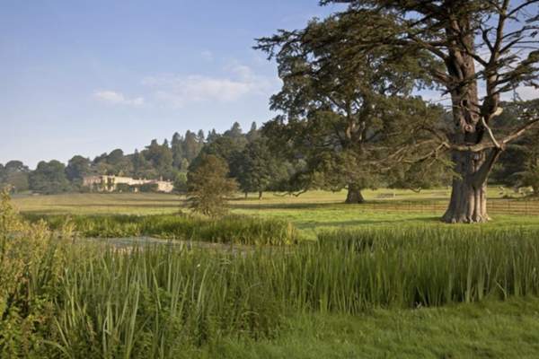 A serene landscape features a large tree by a pond in the foreground, with a grassy field and a stately home in the distance under a clear blue sky.