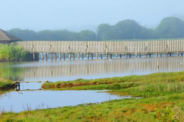 Donation for Seaton Wetlands
