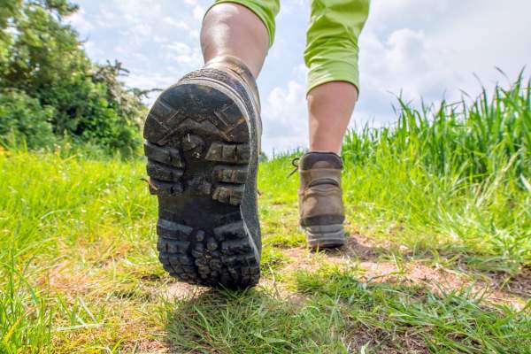 celebrating 10 years of east devon walking festival