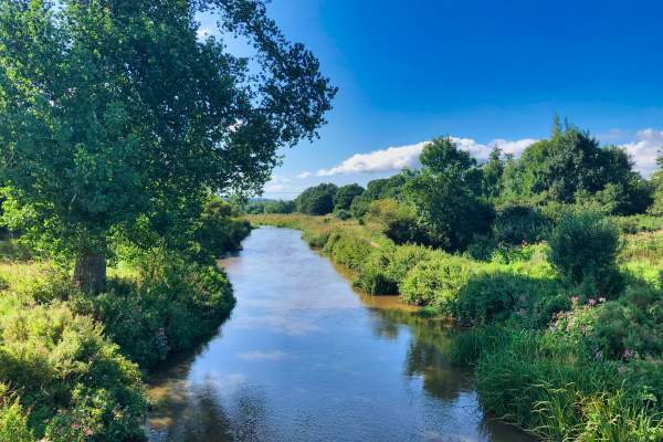 Ottery St Mary East Devon