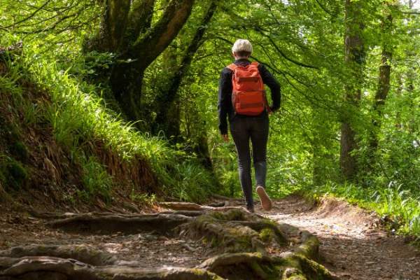 image shows person walking through a wood