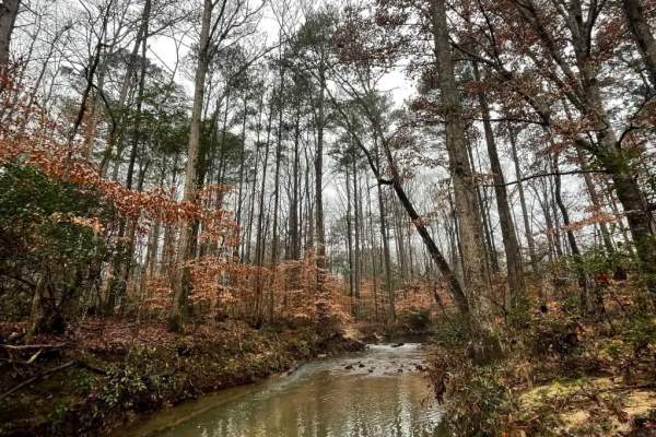 Dunnavant Valley Greenway Park River