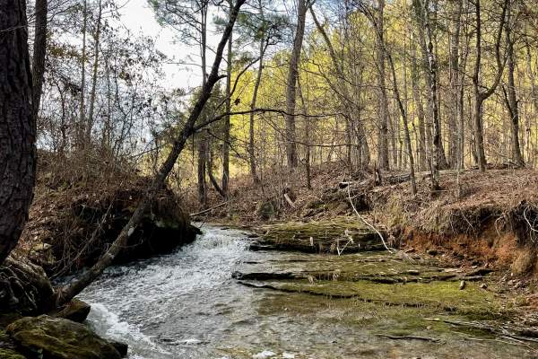 A babbling brook flows alongside a trail at Cahaba River Park.