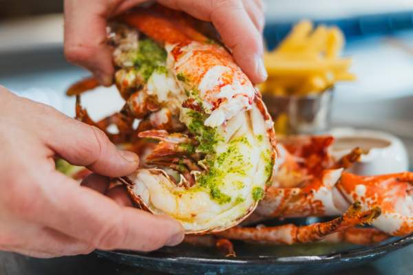 A close up of hands arranging freshly cooked lobster on a plate