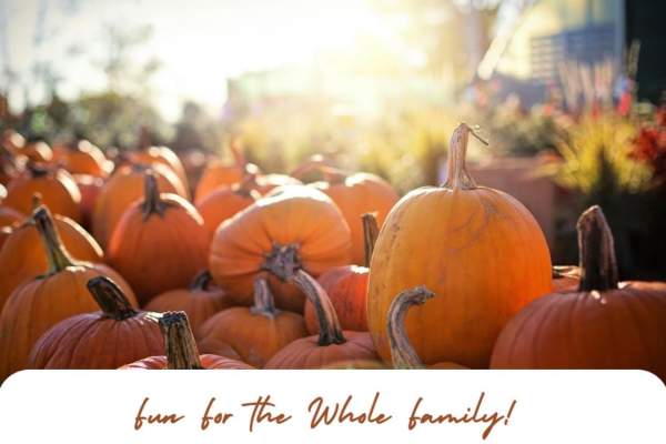 Pumpkins with a sunny background "fun for the whole family!"