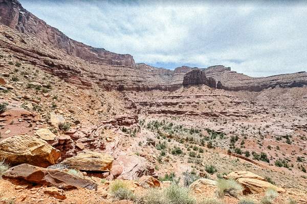 Amphitheater Loop - only for trail listing