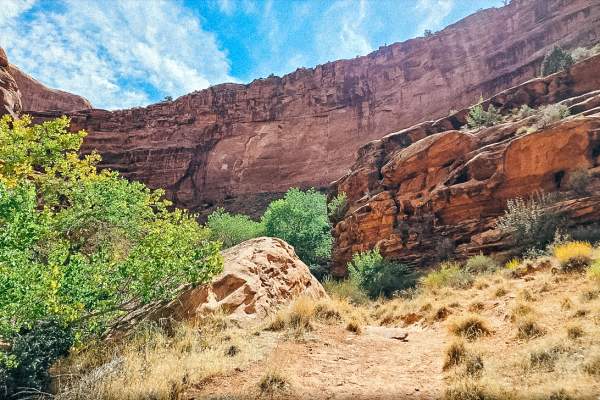 Hunter Canyon- only for trail listing