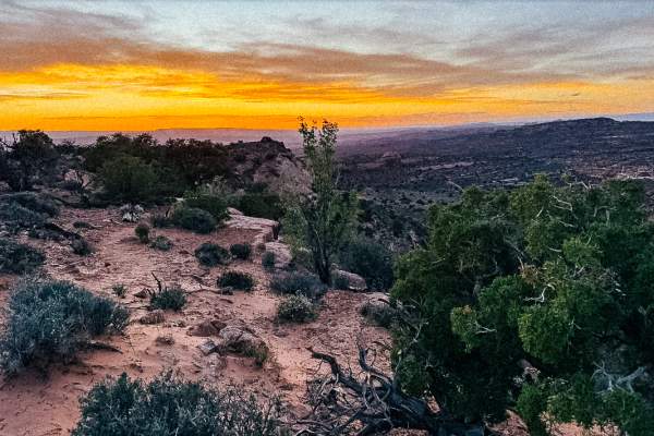 Juniper Trail - only for trail listing