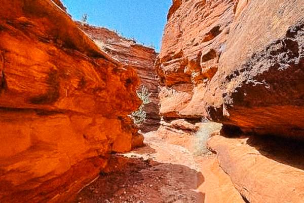 Red Onion Trail - only for trail listing