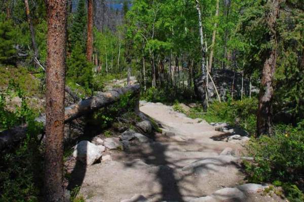 Adams Falls and East Inlet Trail