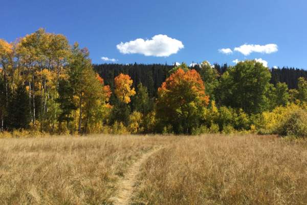 Doe Creek Trail