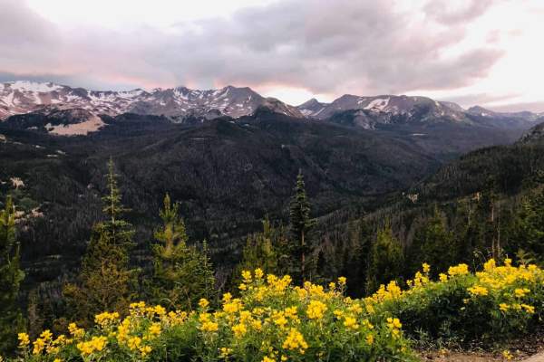 Mountain view with Flowers