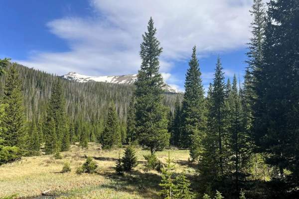 Little Yellowstone