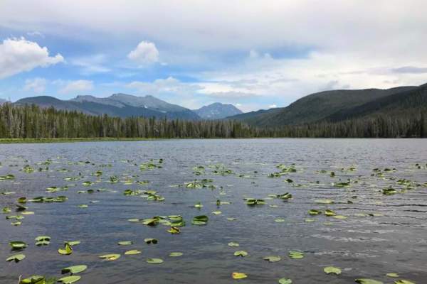 Strawberry Lake Trail Photo