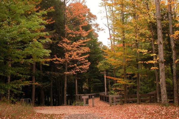A Scenic Northern Michigan Fall Color Drive: The Grayling–Torch Lake–Lake City Loop