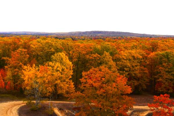 Northern Michigan’s Fall Colors: Make Grayling Your Base for Scenic Adventures