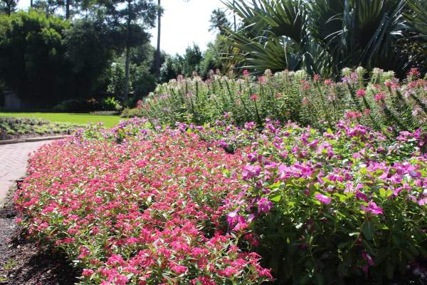 Mercer Arboretum and Botanical Gardens