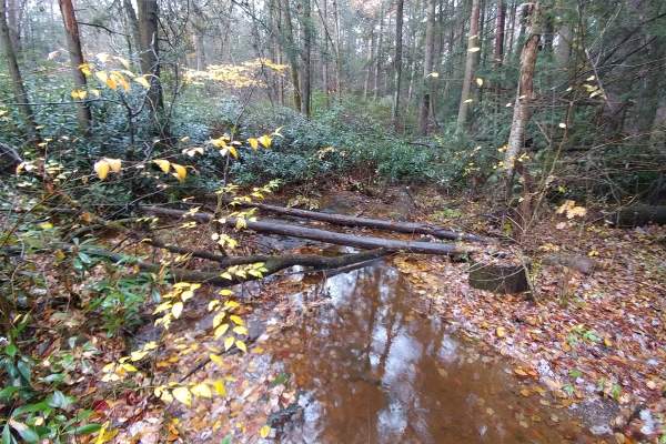 When and Where to View the Best Fall Foliage in PA