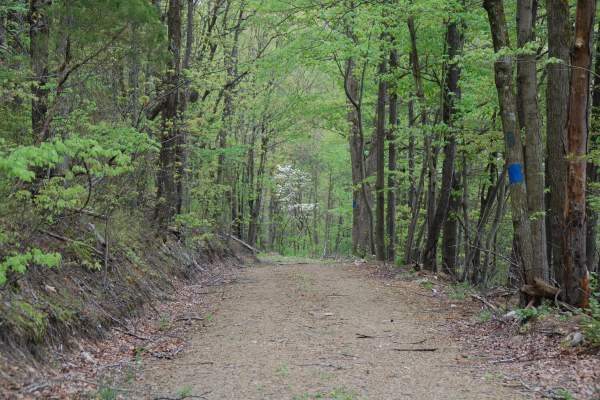 Trail Bingo: An adventure that’s perfect for the whole family