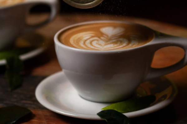 Five Fall Favorites